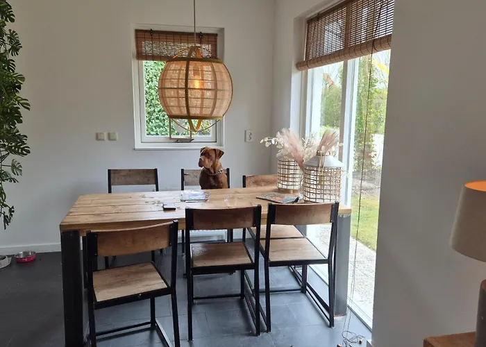 & Dunes With Private Garden And Parking By Noordwijkmeer