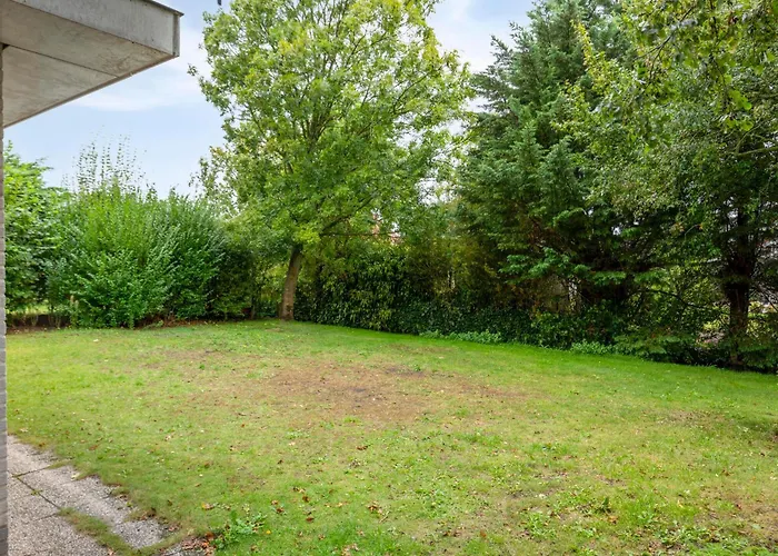 & Dunes With Private Garden And Parking By Noordwijkmeer Vakantiehuis